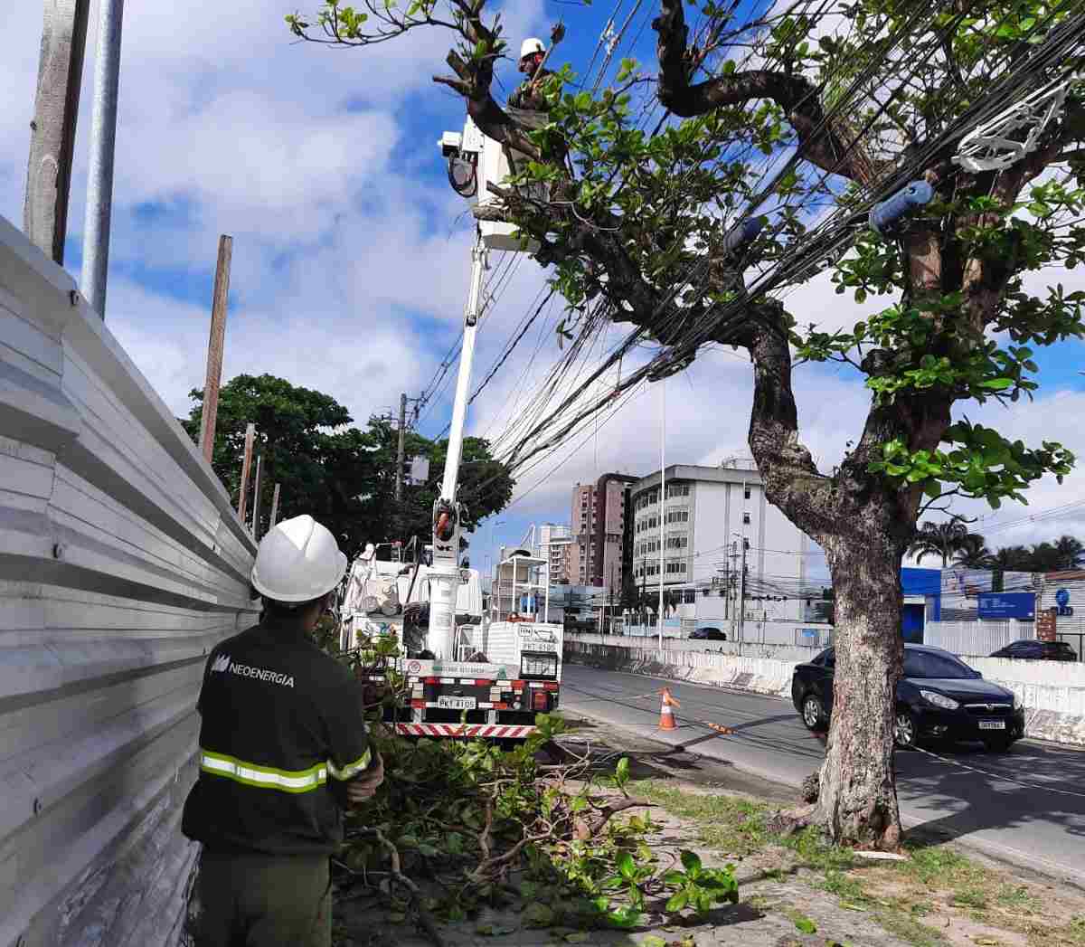 Neoenergia Coelba e Prefeitura de Feira de Santana realizam mais de 200 podas durante mutirão em Feira de Santana