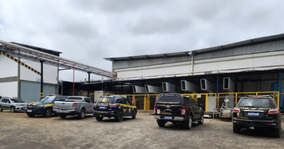 PF incinera 1,7 tonelada de maconha apreendida pela PRF na BR-116