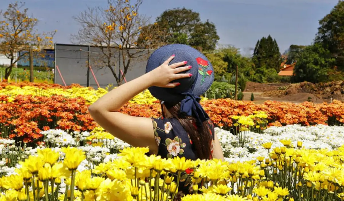 Entenda por que a primavera é a melhor época para viajar pelo Brasil