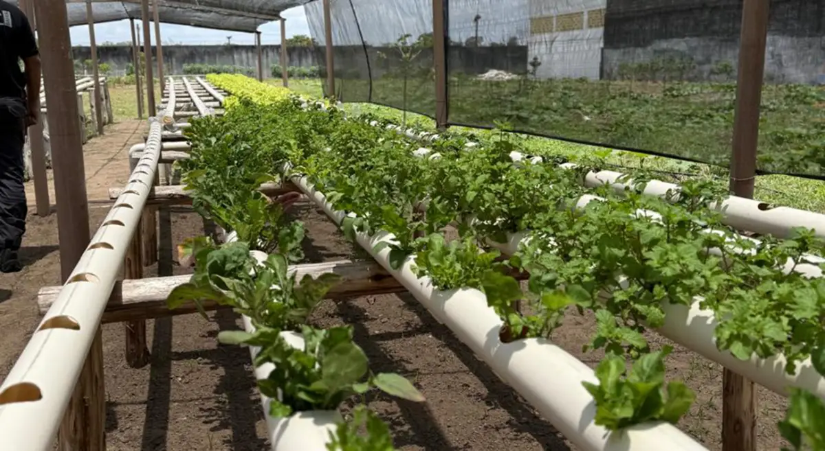 Secretária realiza visita técnica ao Conjunto Penal Feminino de Feira de Santana