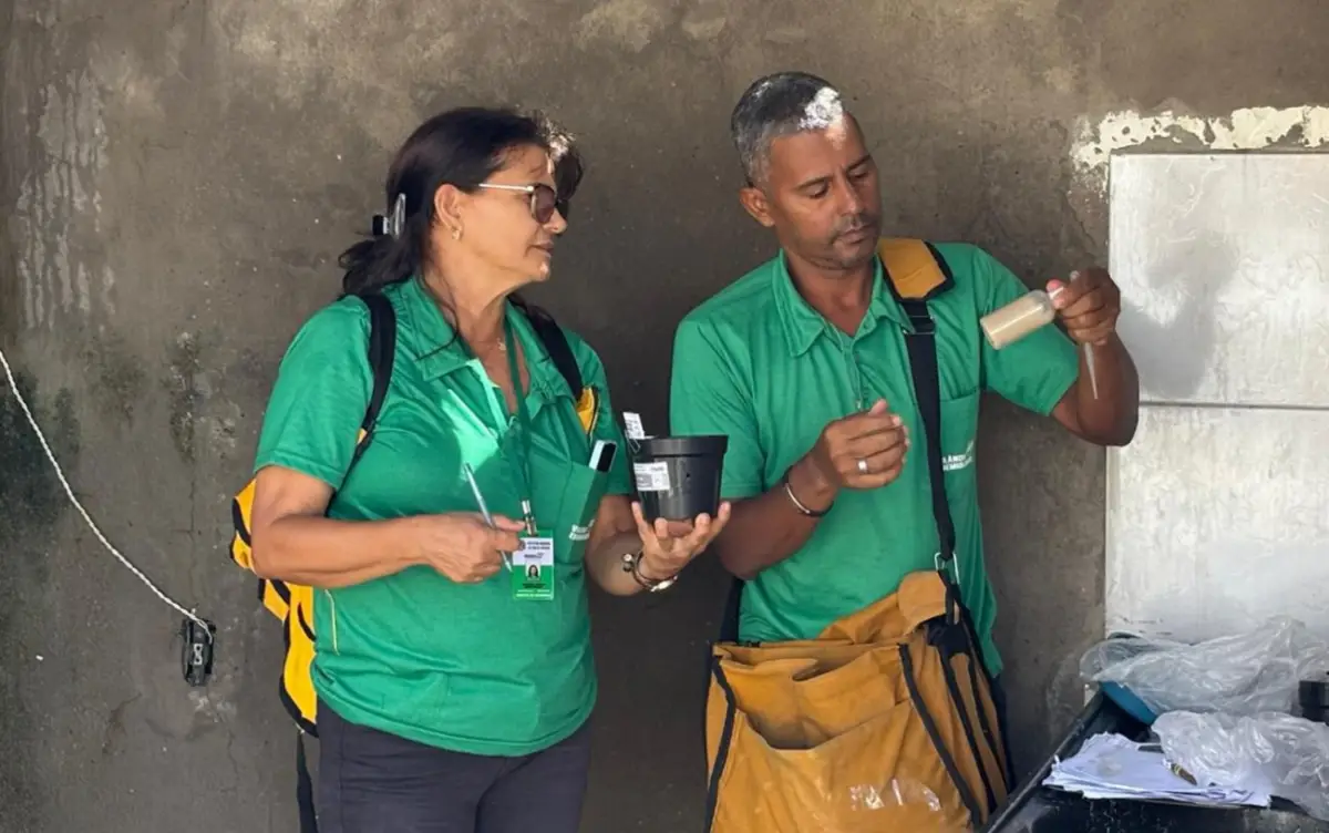 Com ações intensivas, Feira de Santana alcança índices baixos de infestação pelo Aedes aegypti