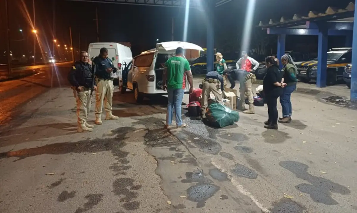 Operação resgata 67 aves silvestres e apreende produtos ilegais em Feira de Santana