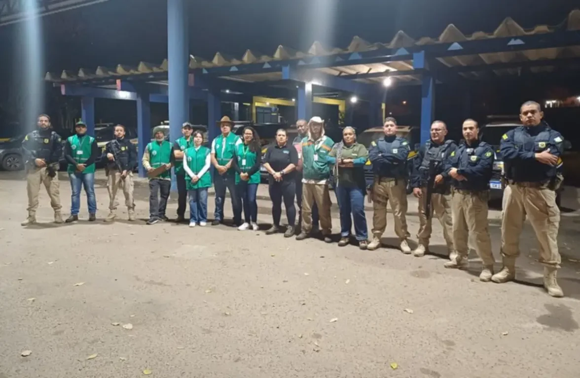 Operação resgata 67 aves silvestres e apreende produtos ilegais em Feira de Santana