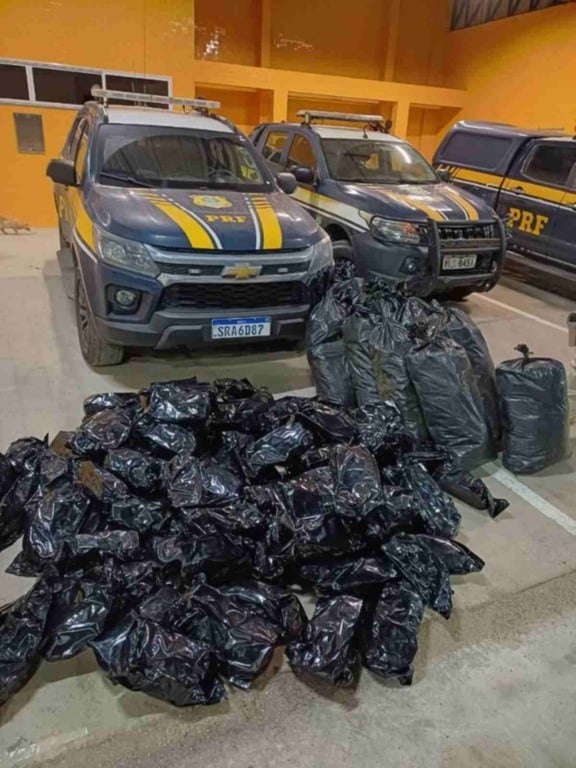 Apreensão de Maconha