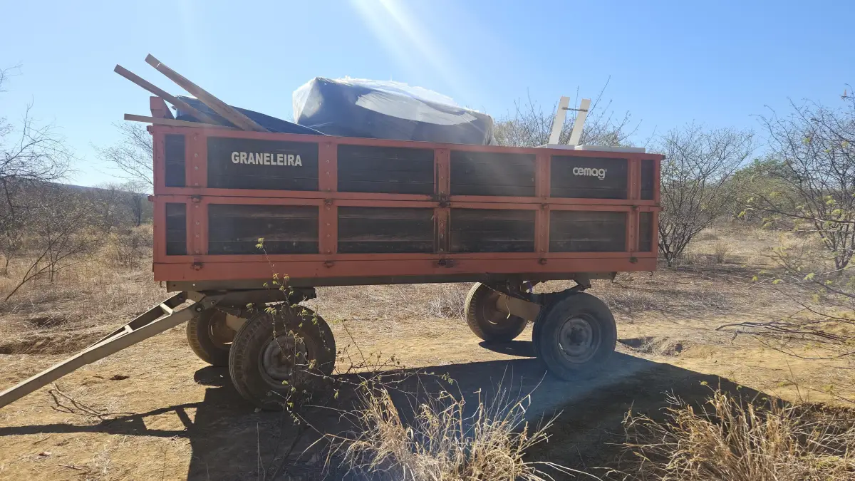 apreensão de maconha