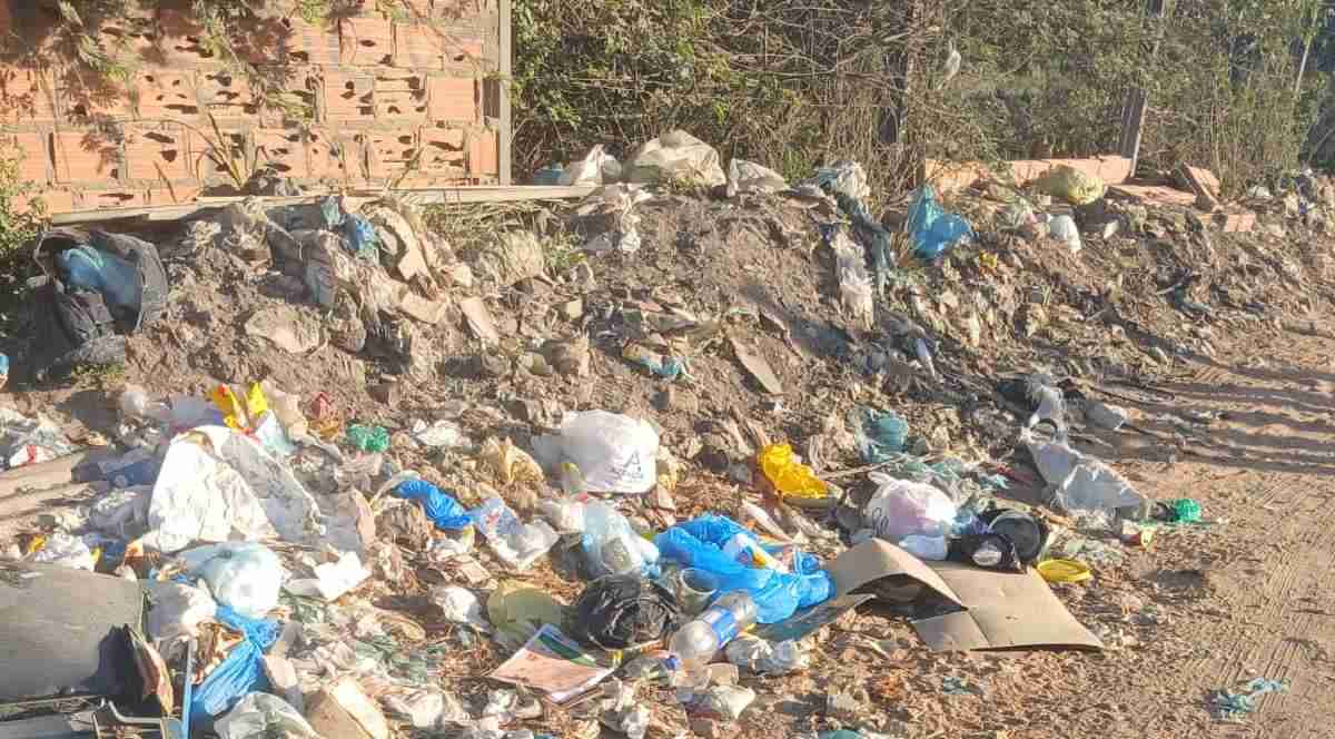 Moradores denunciam mato, lixo e abandono em diferentes bairros de Feira de Santana