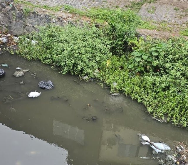 Foto: Paulo José / Acorda Cidade 