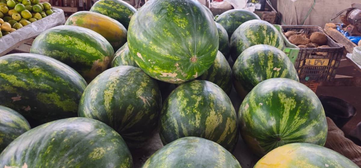 Feirinha da Estação Nova