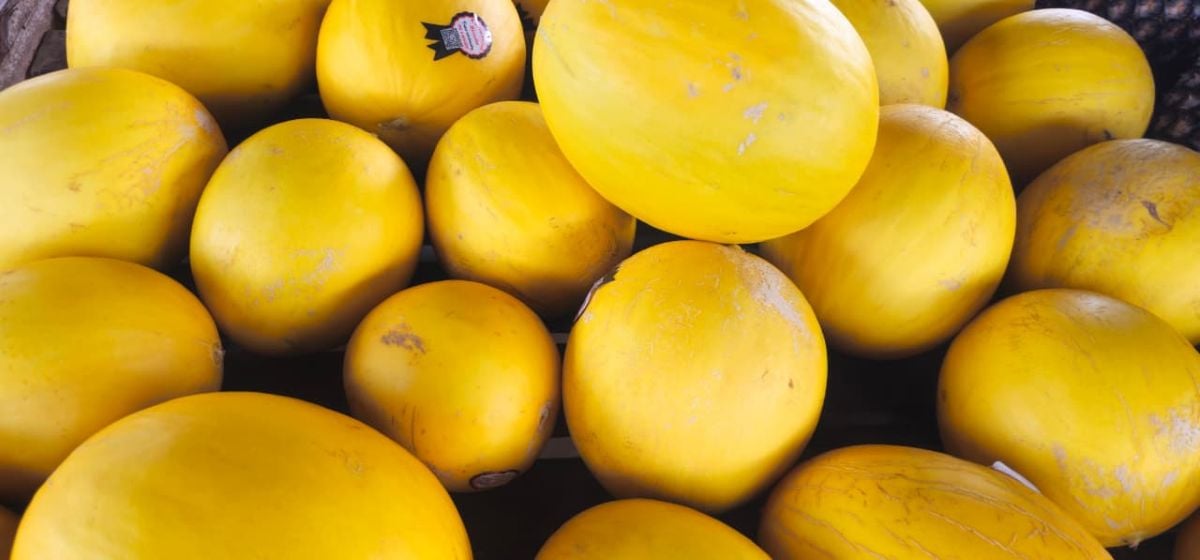 Feirinha da Estação Nova