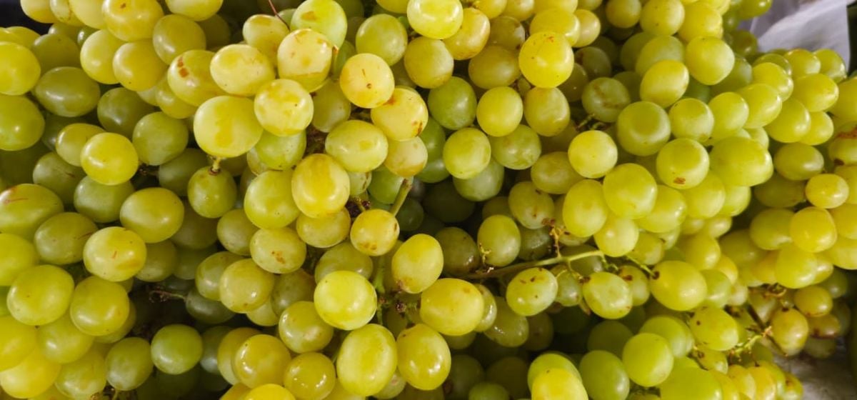 Feirinha da Estação Nova