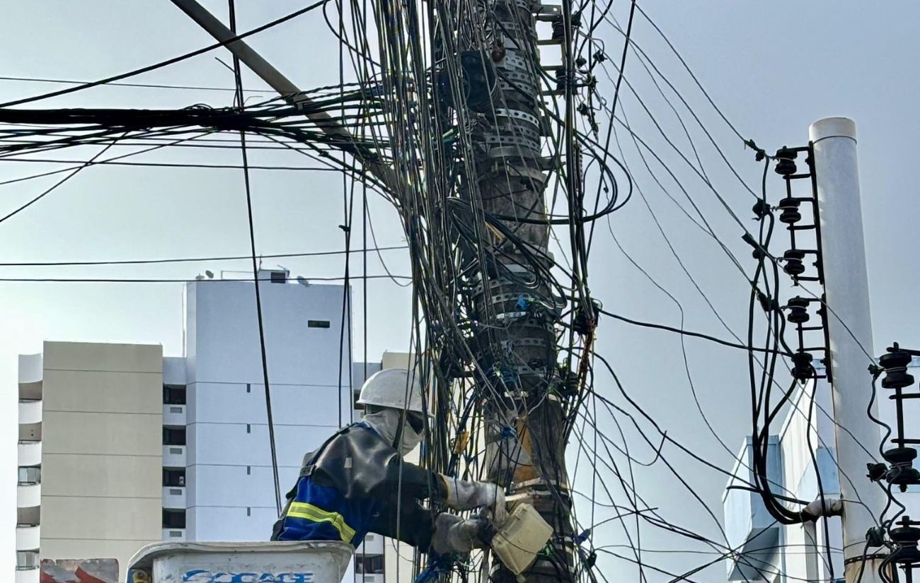 gatonet emaranhado de fios