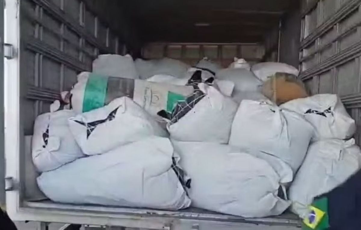 Forças estaduais e federais interceptam 781 kg de maconha na BR-235