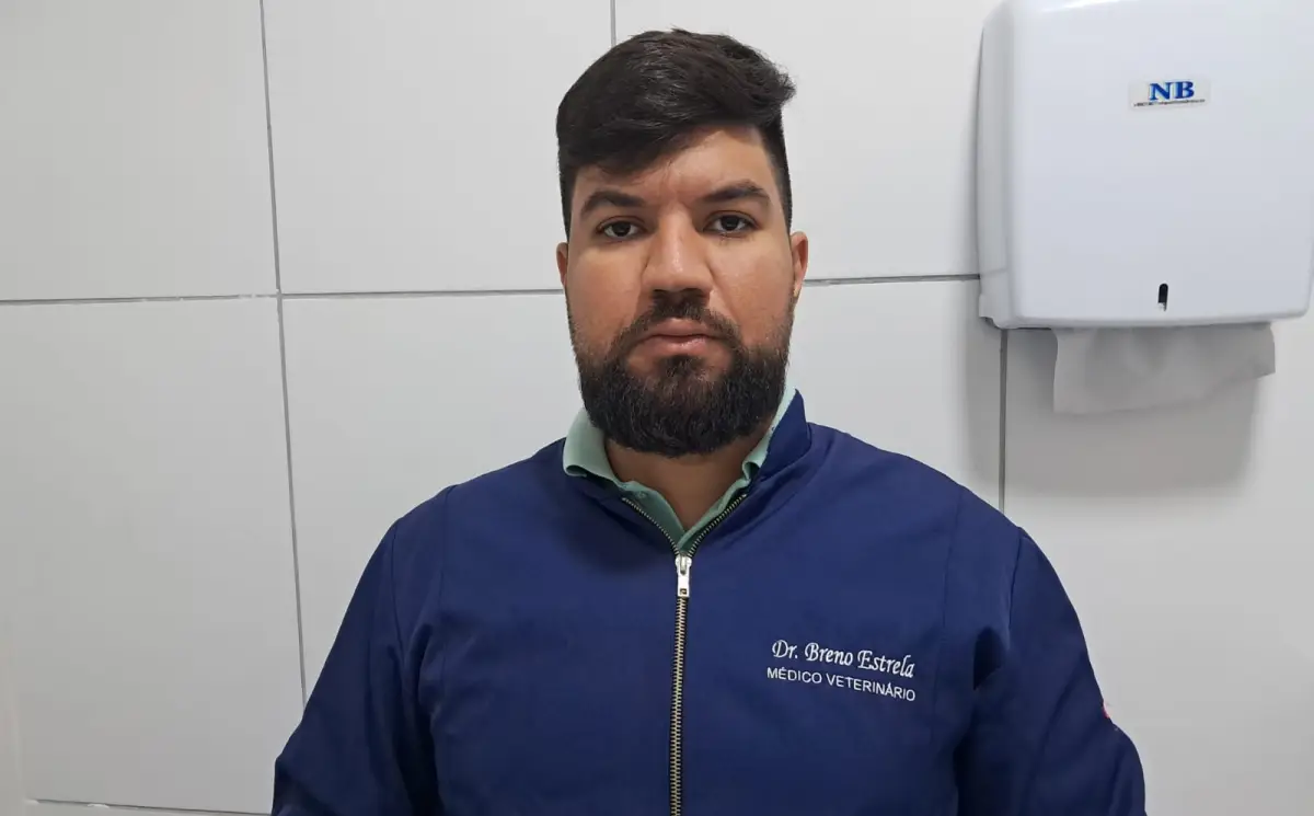 Outubro Rosa Pet: castração reduz em até 90% risco de tumores reprodutivos em cães e gatos