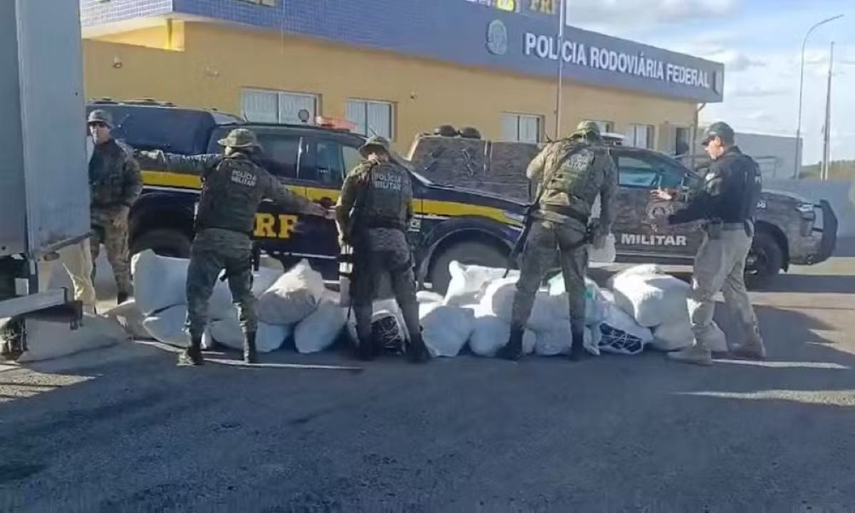 Forças estaduais e federais interceptam 781 kg de maconha na BR-235