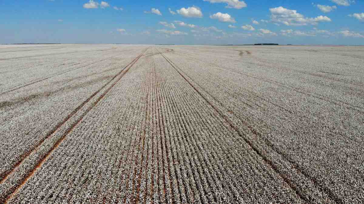 Produção Agrícola