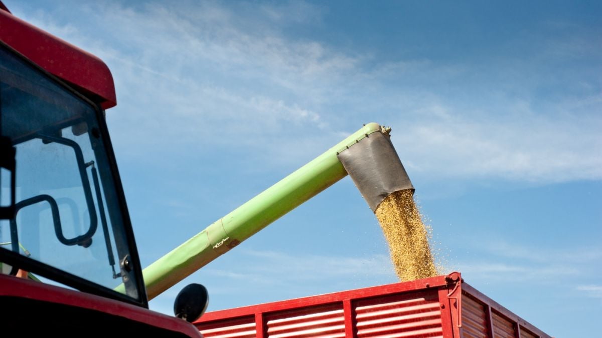 Produção Agrícola