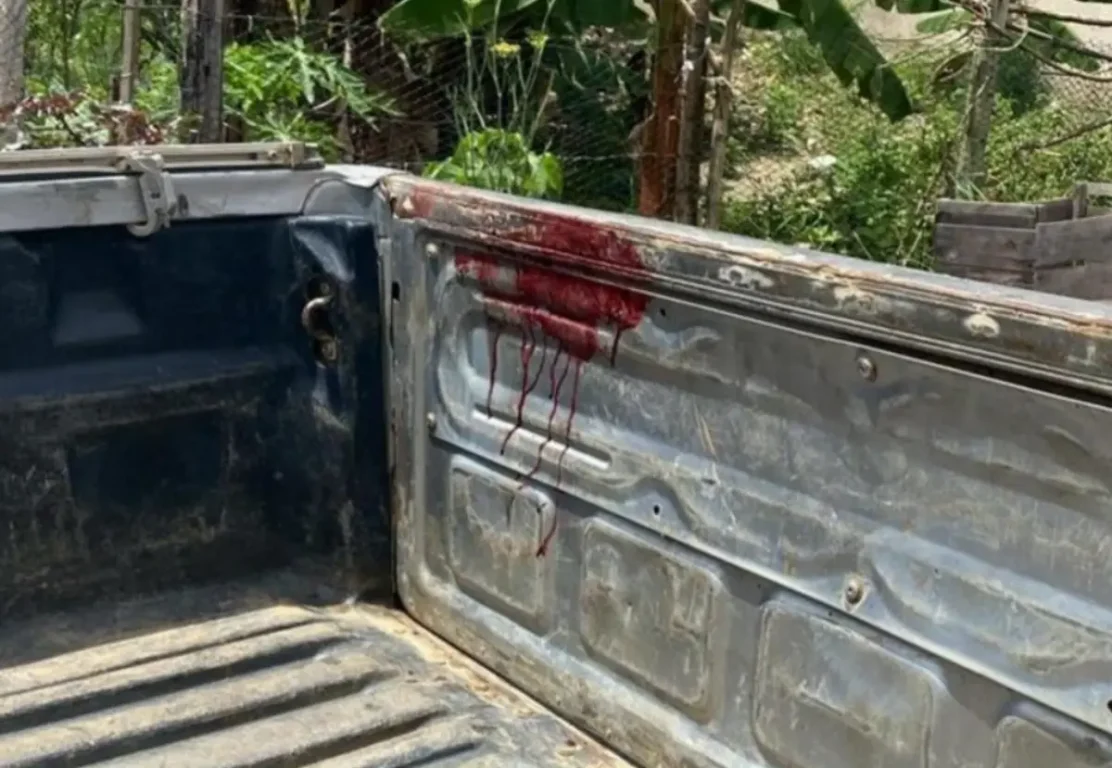 Dois agricultores são mortos e um fica ferido em ataque a assentamento no extremo sul da Bahia