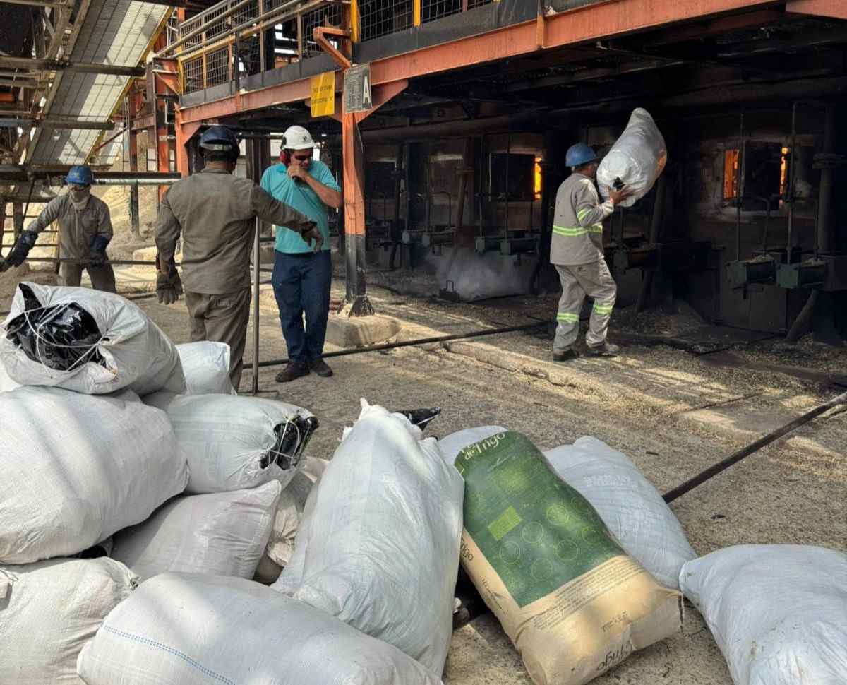 Cerca de 870 kg de drogas são incineradas pela Polícia Federal no Norte da Bahia Cerca de 870 kg de drogas são incineradas pela Polícia Federal no Norte da Bahia
