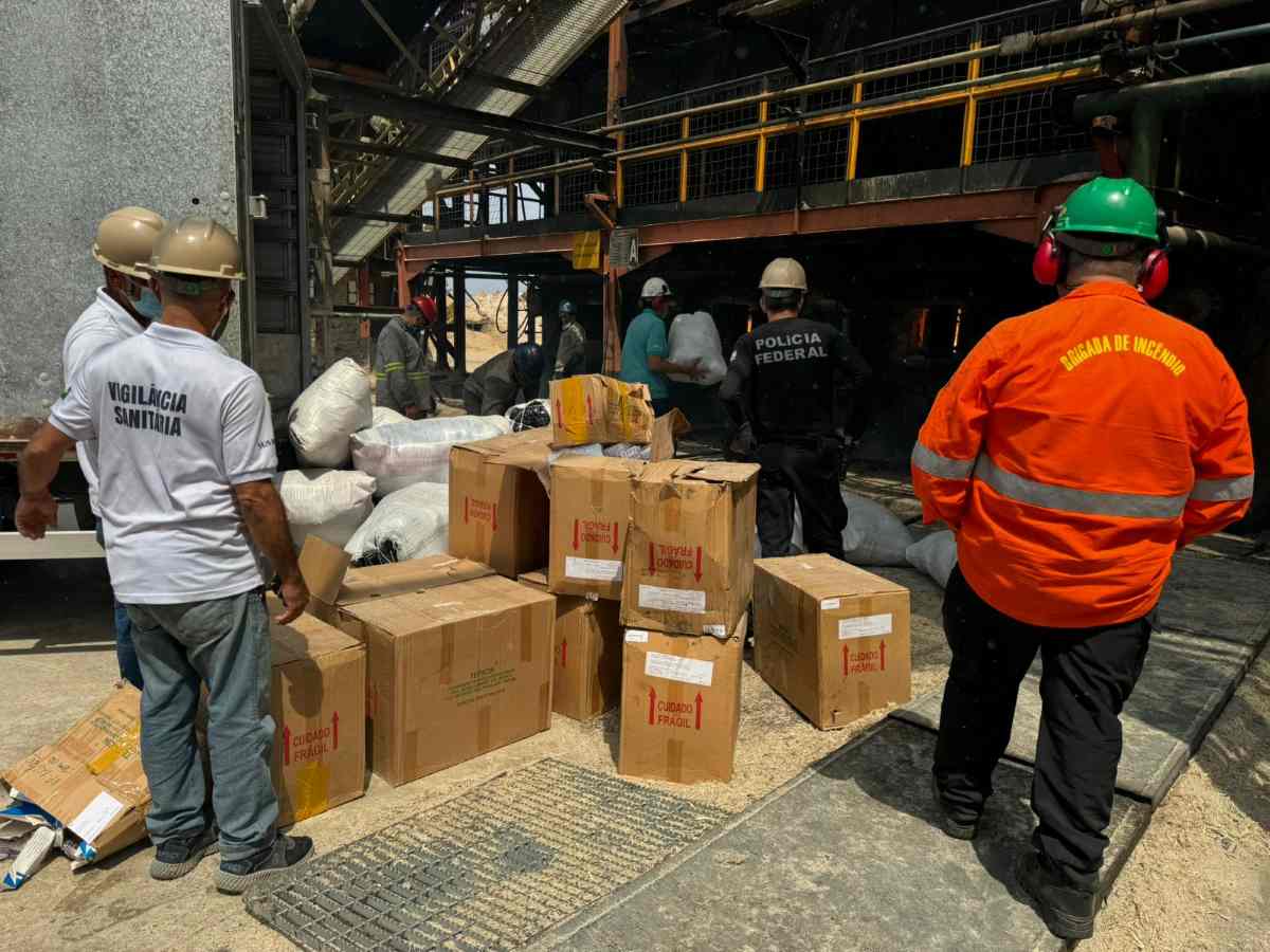 Cerca de 870 kg de drogas são incineradas pela Polícia Federal no Norte da Bahia Cerca de 870 kg de drogas são incineradas pela Polícia Federal no Norte da Bahia