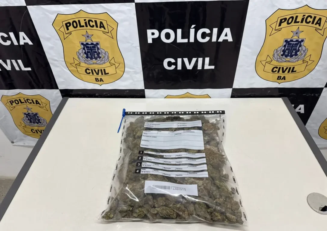 Polícia Civil realiza ações de combate ao tráfico de drogas em Jequié e Feira de Santana