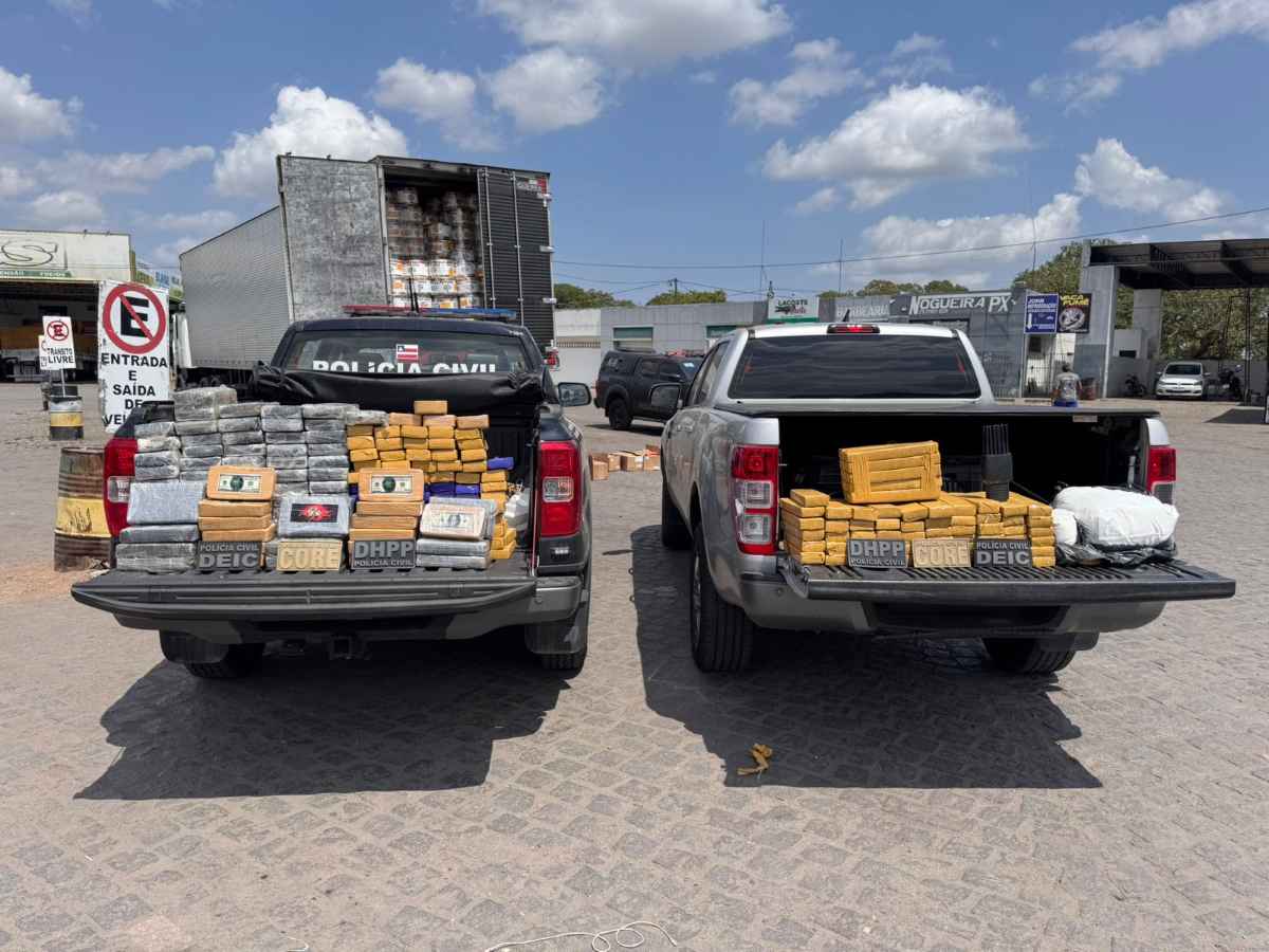 Polícia Civil apreende mais de 200 quilos de drogas ligadas a organização criminosa do Rio de Janeiro