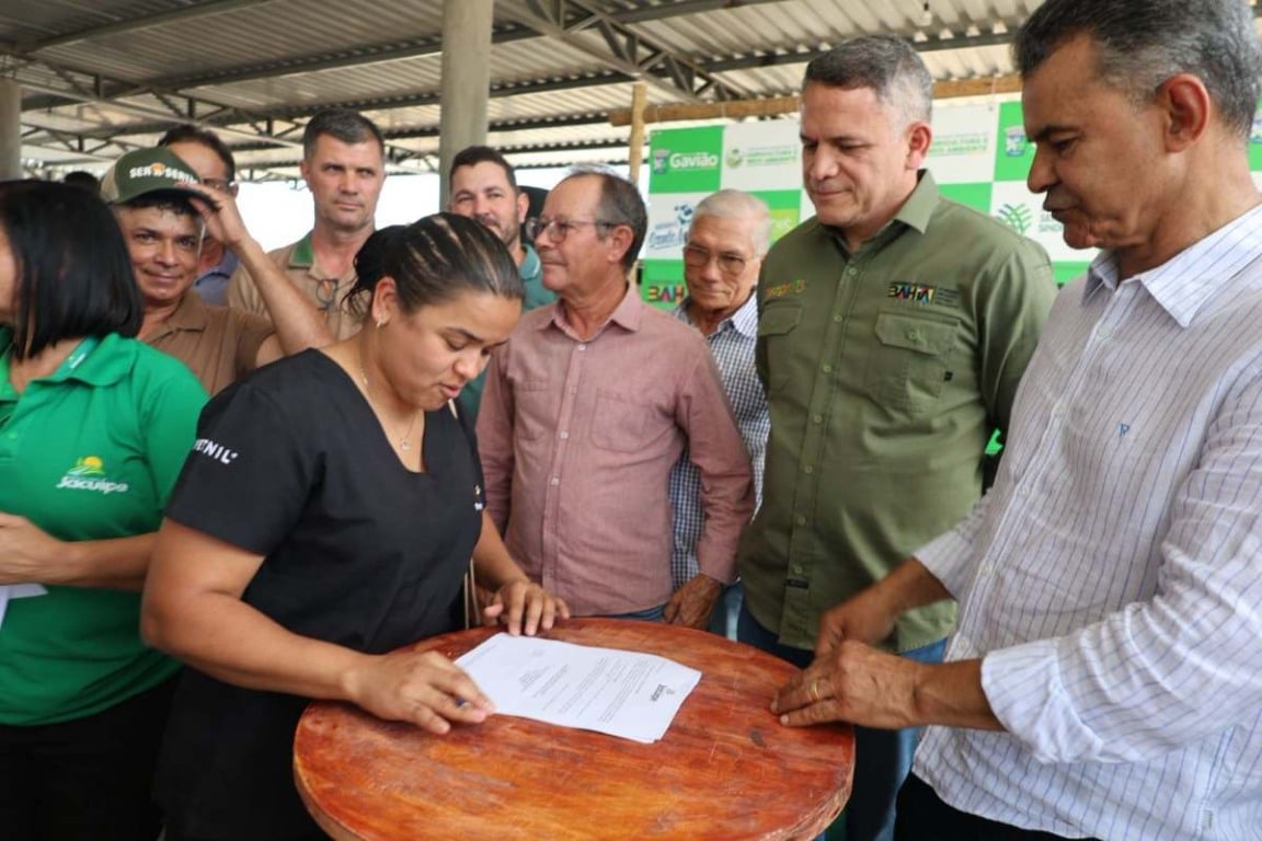 Castração de Animais