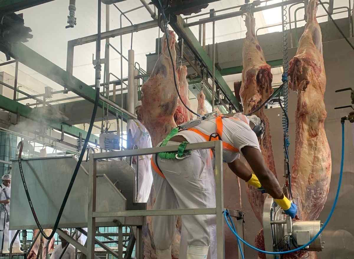 mercado do boi gordo