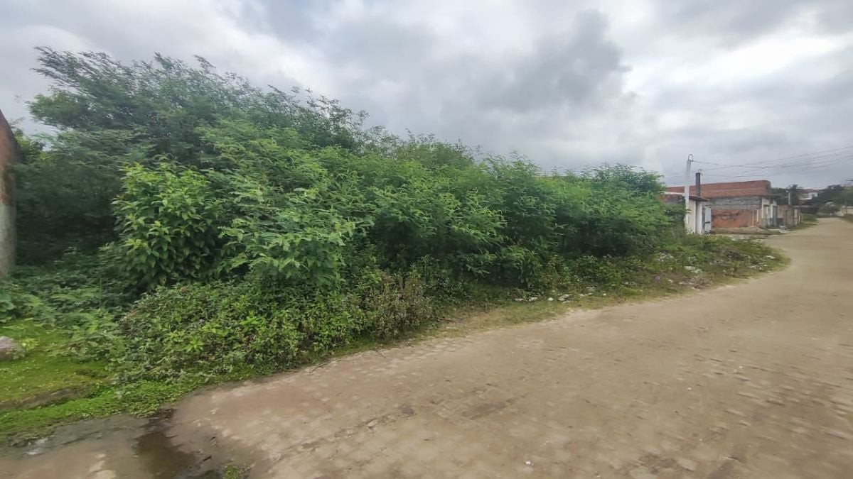 acumulo de lixo em terrenos do bairro campo limpo em feira de Santana