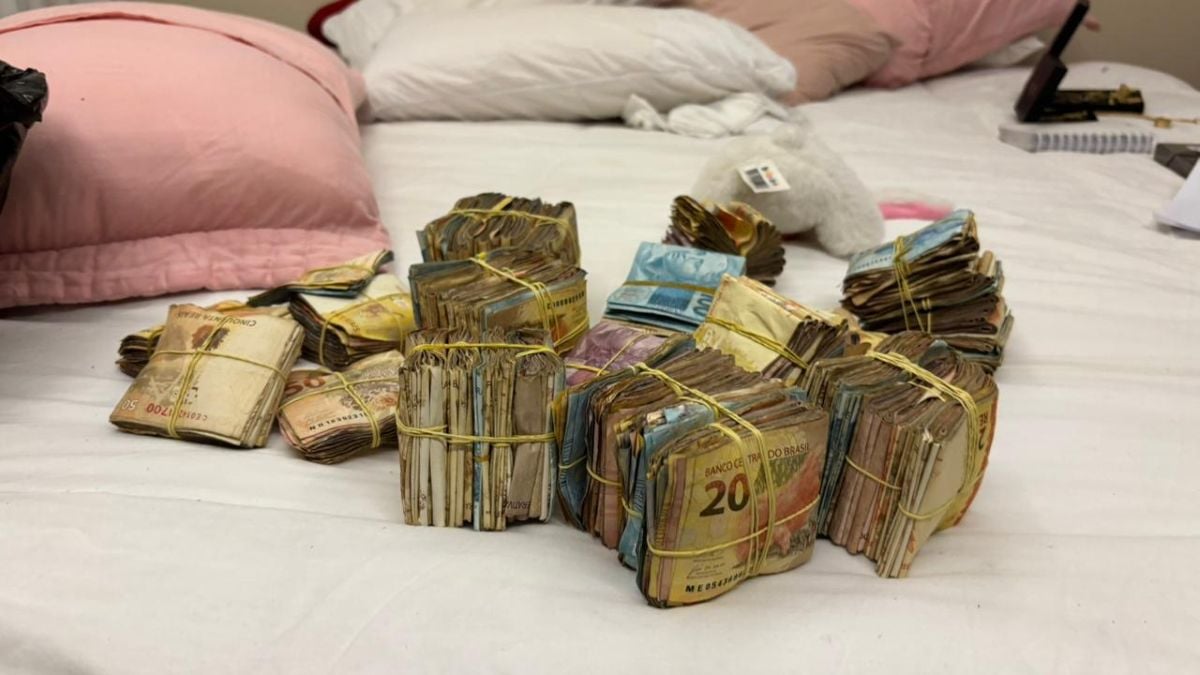 Operação Rainha do Sul