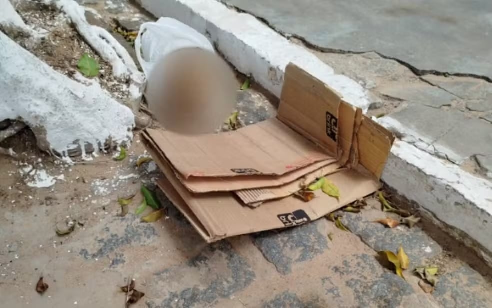 Crânio é encontrado em Inhambupe; polícia investiga relação com furto em cemitério