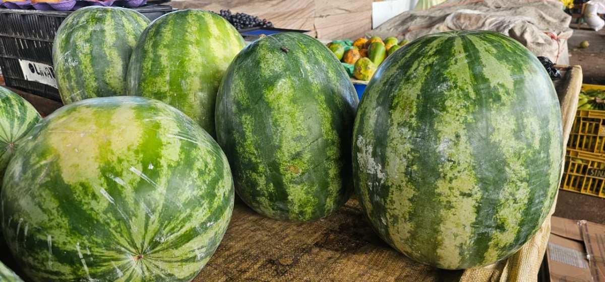 Feirinha da Estação Nova | Foto: Paulo José/ Acorda Cidade