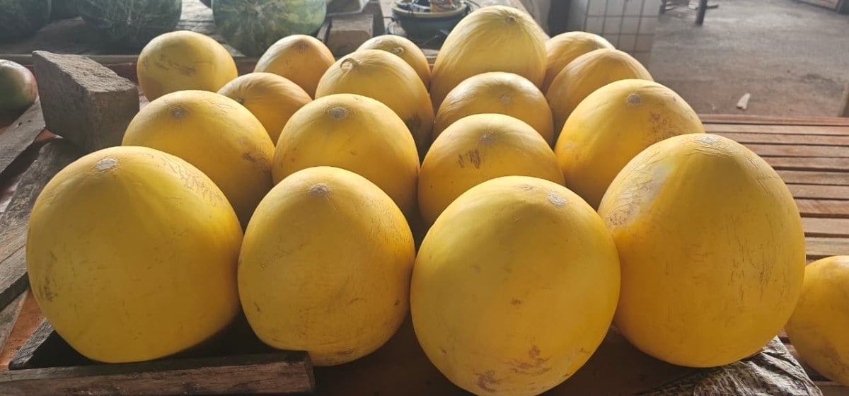 Feirinha da Estação Nova | Foto: Paulo José/ Acorda Cidade