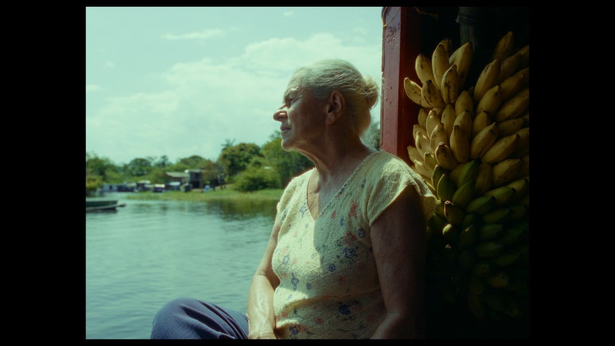 Uma por uma: o que chega à Netflix em janeiro; confira as novidades