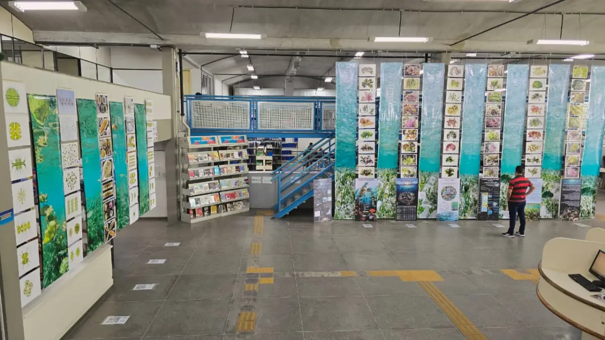 Exposição “Planeta Algas: Sem elas, a Terra não seria possível!” é aberta no hall da Biblioteca Central da Uefs