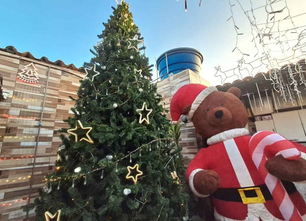 Feirense transforma casa em “Caminho Mágico para o Natal”, atraindo visitantes com cenário temático iluminado
