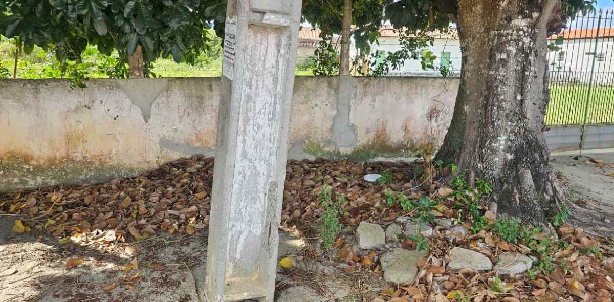 Poste inclinado e energizado preocupa moradores do bairro Santo Antônio dos Prazeres; fiação está embaraçada em galhos de uma árvore
