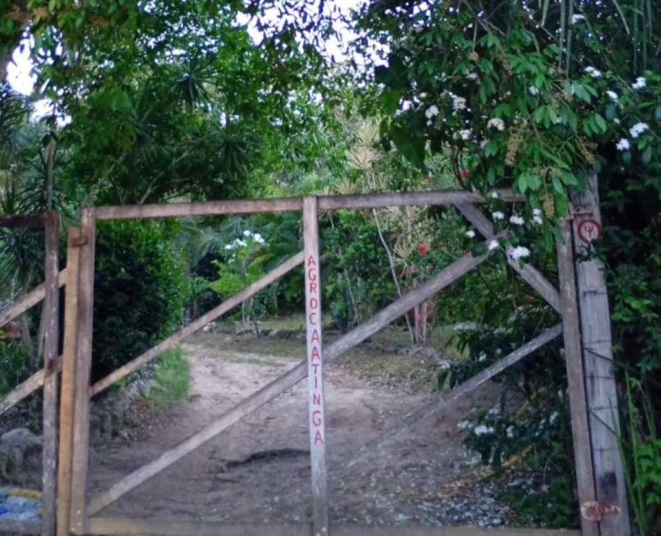 Projeto Matinha Verde