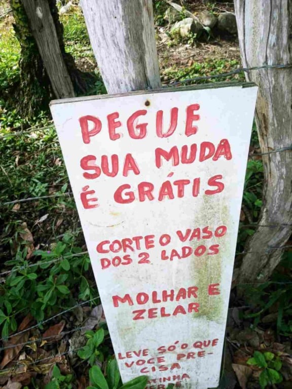 Projeto Matinha Verde