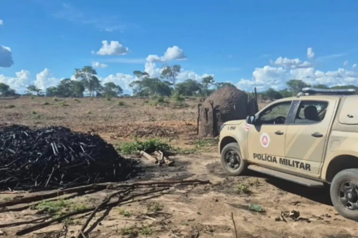 Cippa desativa fornos ilegais de carvão na zona rural de Carinhanha