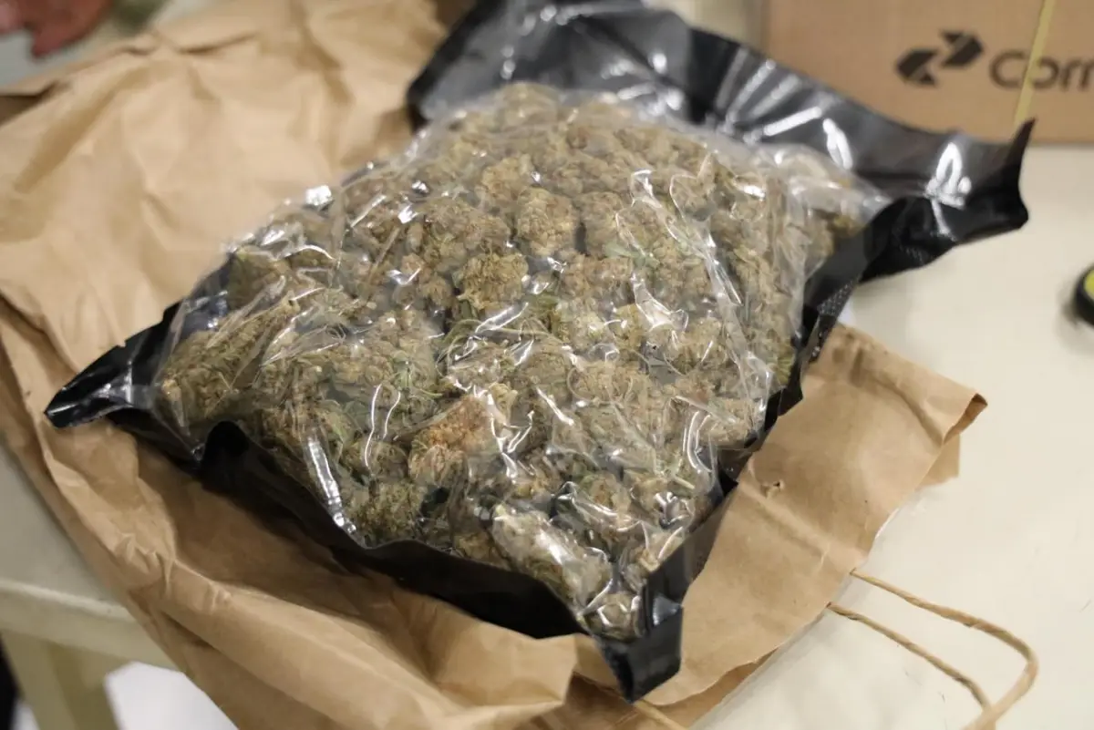 Polícia localiza vários tipos de drogas e armas de fogo em encomendas enviadas pelos Correios Polícia localiza vários tipos de drogas e armas de fogo em encomendas enviadas pelos Correios