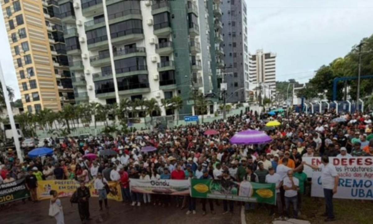 Cacauicultores protestam em Ilhéus contra importação de cacau africano Foto Reprodução Diário Paralelo