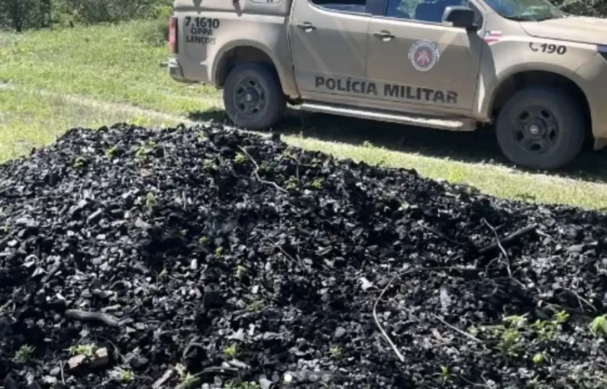 PM desmonta esquema ilegal de produção de carvão e destrói 24 fornos em Morpará