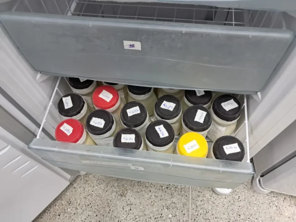 Estoque do Banco de Leite do Hospital da Mulher está em estado crítico; saiba como doar