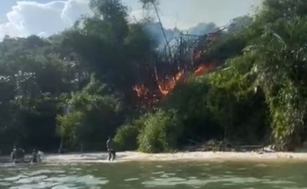 Incêndio em bambuzal causa pânico e prejuízos na Praia da Bica em Saubara | Foto: Ed Santos/ Acorda Cidade