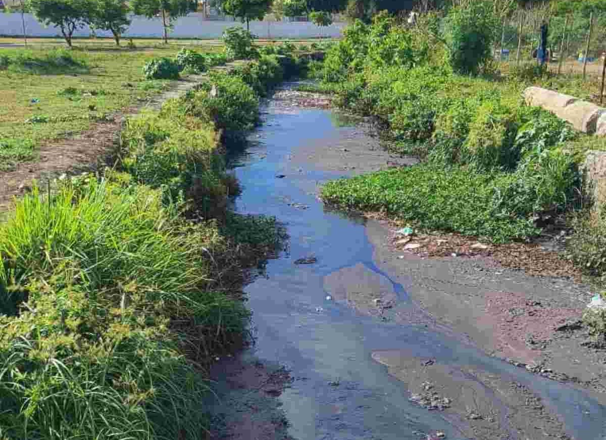 Moradores da Rua Milão reclamam de muriçocas no bairro Brasília em Feira de Santana | Foto: Ed Santos/ Acorda Cidade Moradores da Rua Milão reclamam de muriçocas no bairro Brasília em Feira de Santana | Foto: Ed Santos/ Acorda Cidade