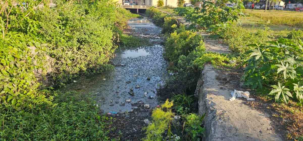 Moradores reclamam de situação do córrego no bairro Irmã Dulce em Feira de Santana | Foto: Paulo José/ Acorda Cidade
