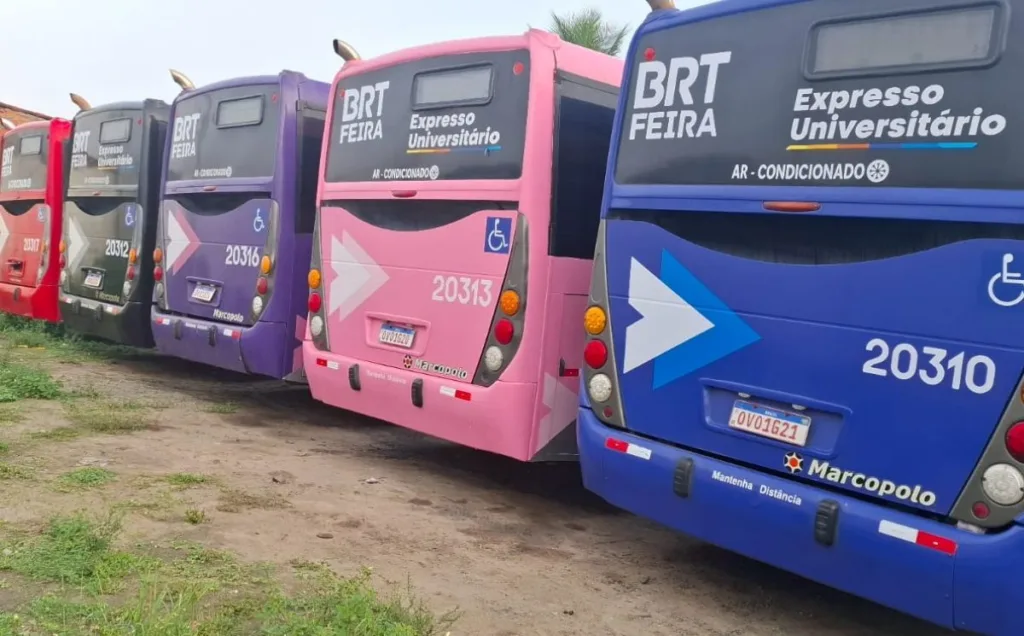 ônibus da empresa Rosa - transporte público