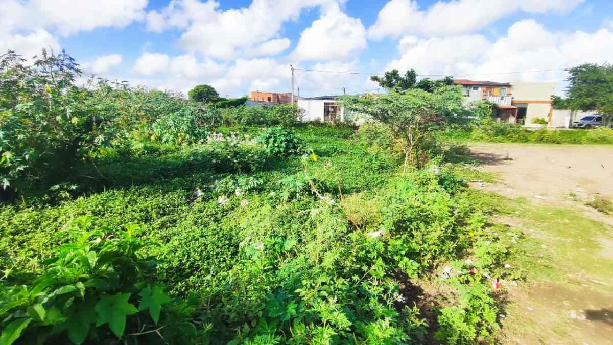 Região da Lagoa do Chico Maia