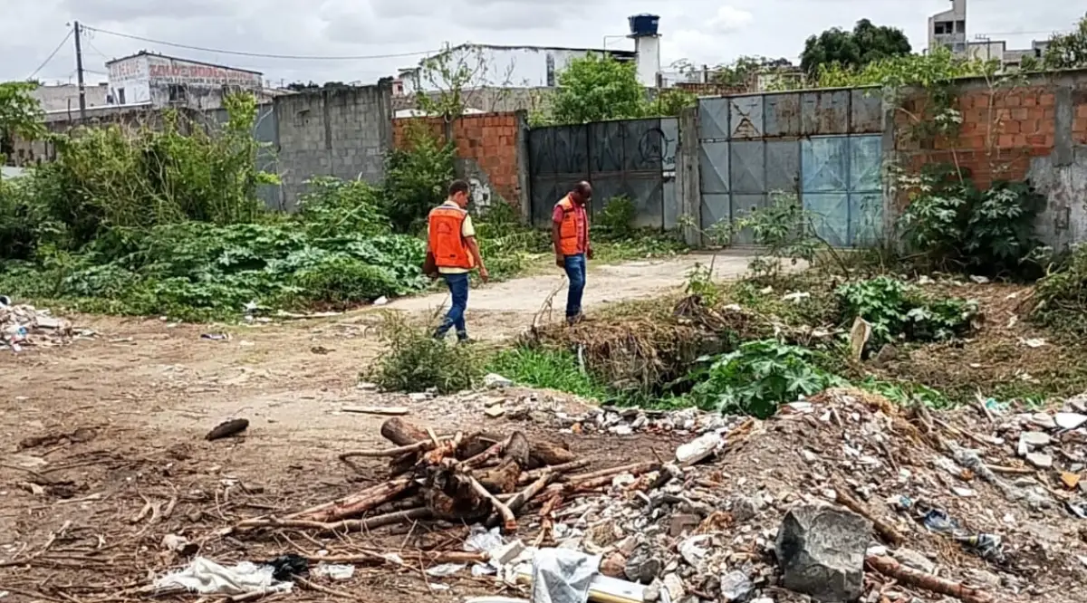 Defesa Civil alerta para “seca verde” e descarta previsão de temporais nos próximos dias em Feira de Santana