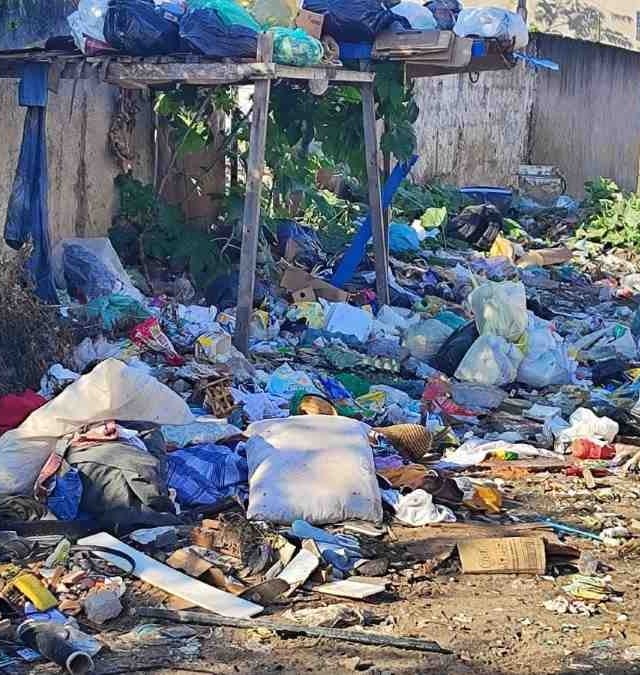 Moradores cobram limpeza e fiscalização de terreno no bairro Santa Mônica